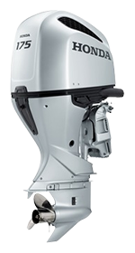 BF175D