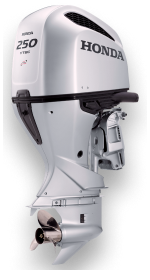 BF250D